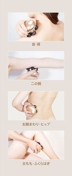 【ZOGANKIN】 ゾーガンキン スカルプ 【限定カラー】