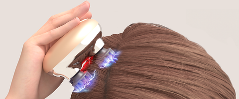 【ZOGANKIN】 ゾーガンキン スカルプ 【限定カラー】