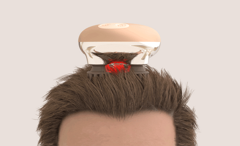 【ZOGANKIN】 ゾーガンキン スカルプ 【限定カラー】