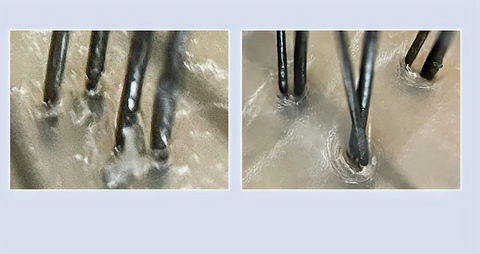 【ZOGANKIN】 ゾーガンキン スカルプ 【限定カラー】