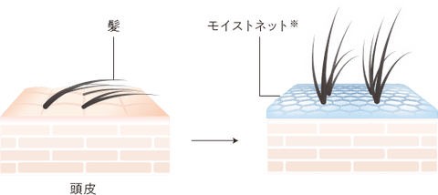 ジオ フレイマン ルートウェイク 500ml
