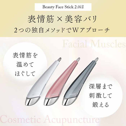 Beauty Face Stick2.0