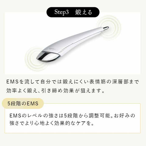 Beauty Face Stick2.0