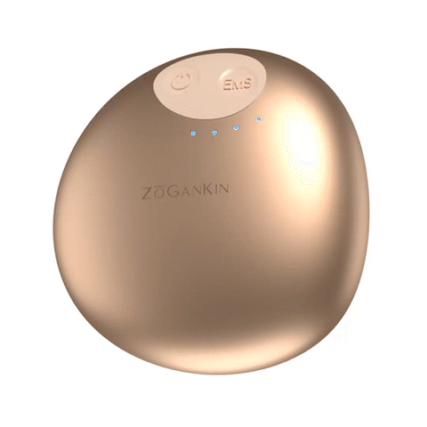 【ZOGANKIN】 ゾーガンキン スカルプ　【限定カラー】