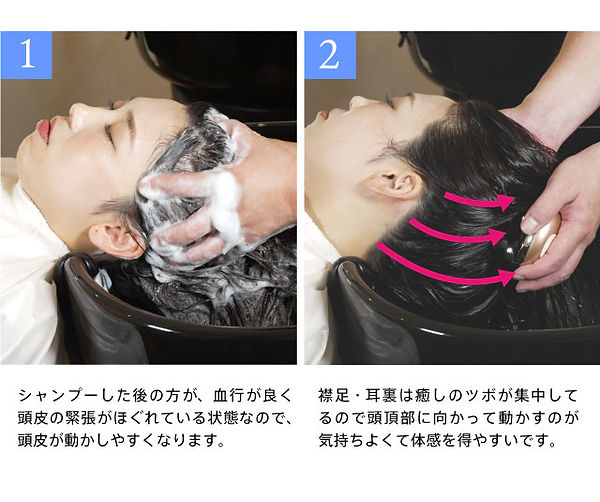 ゾーガンキンスカルプ 限定エディション ZOGANKIN】 ゾーガンキン スカルプ 【限定カラー】 – （株）Dampfer