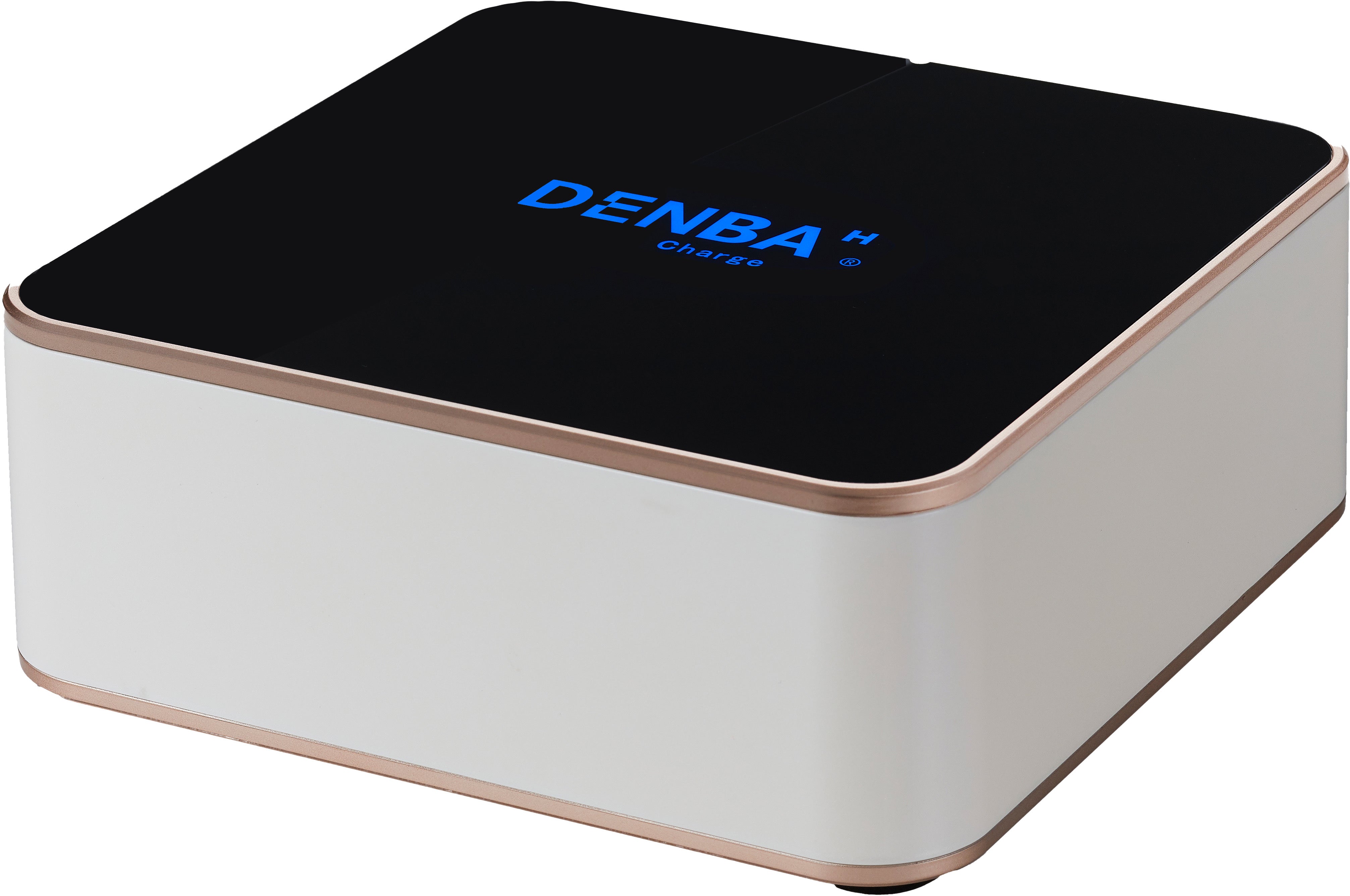 DENBA Health Charge – （株）Dampfer | ダンファー