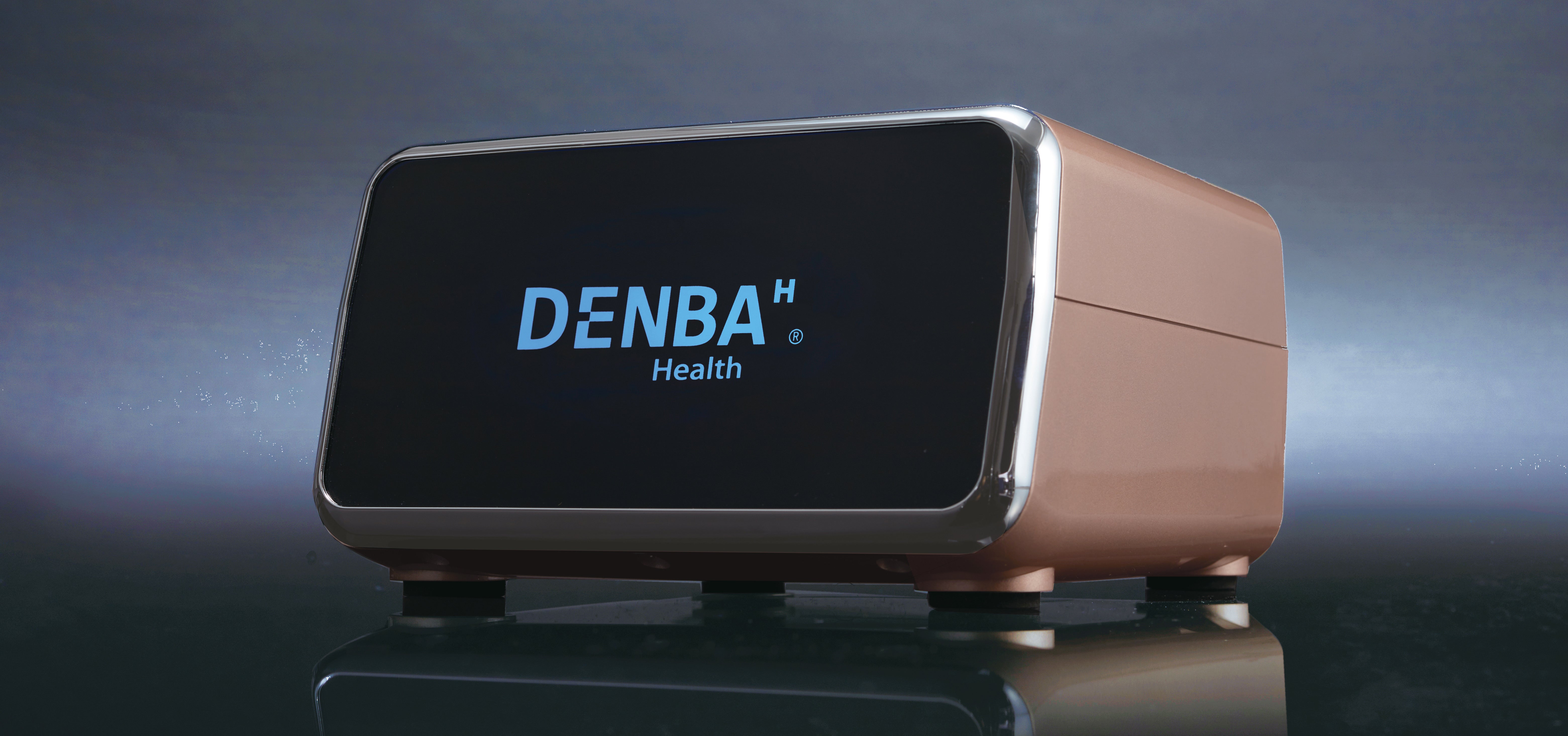 DENBA Health スタンダードタイプ DENBA Health スタンダード | 製品情報